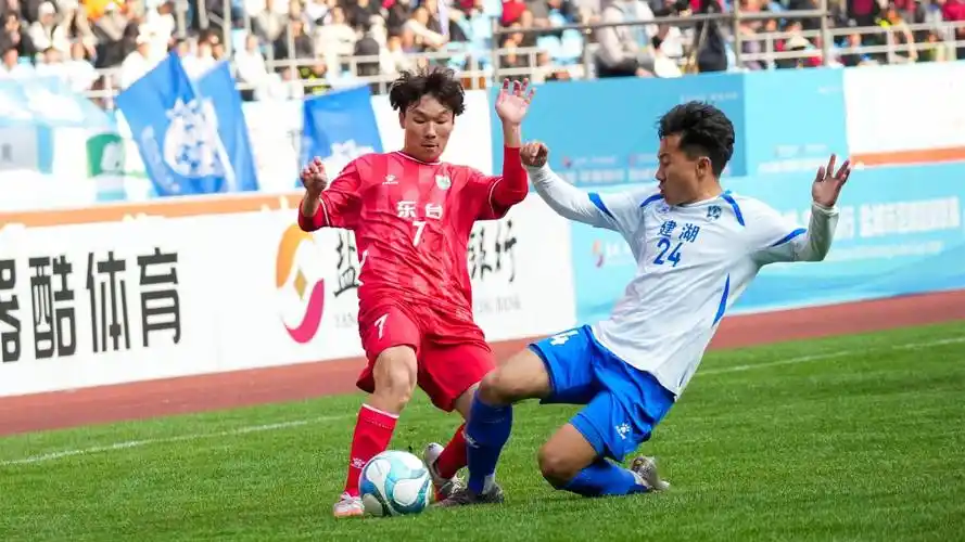 雨燕体育直播在线直播